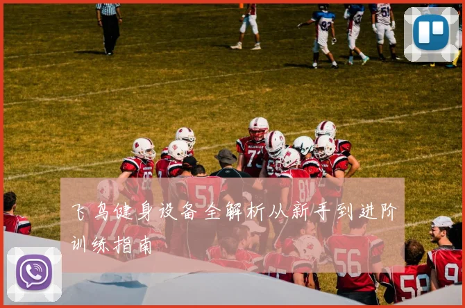 飞鸟健身设备全解析从新手到进阶训练指南